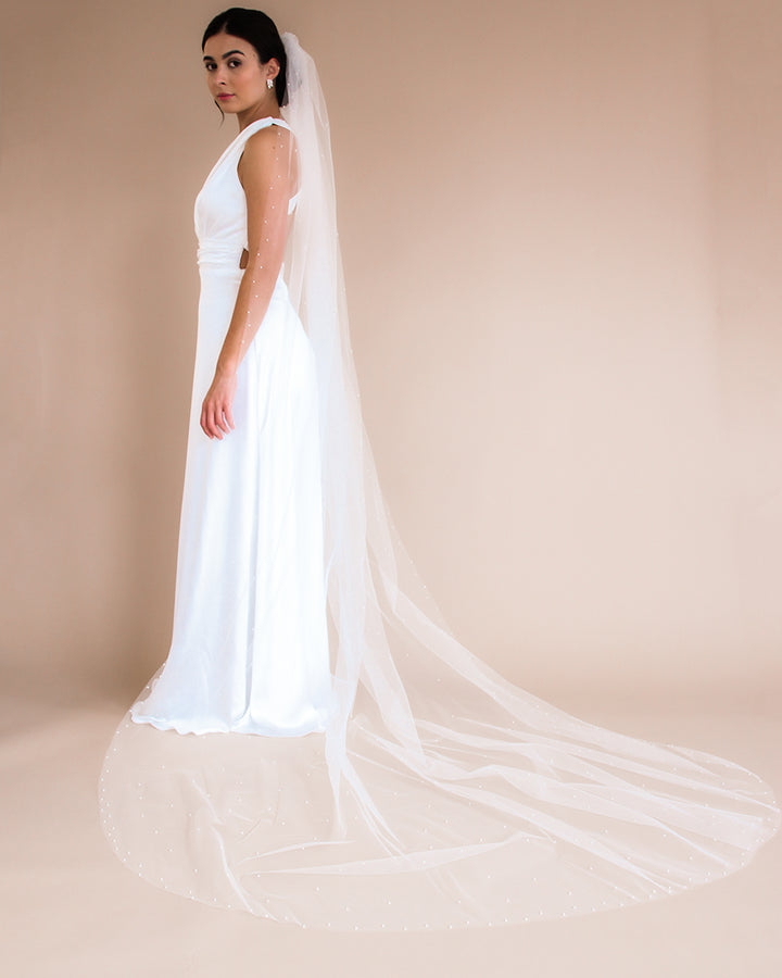 Wedding Veil Cathedral