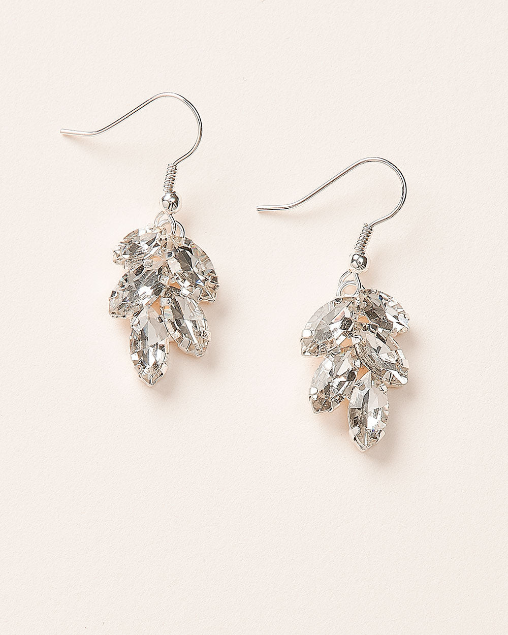 Silver Dangle Earrings