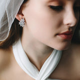 Vanessa CZ Earrings