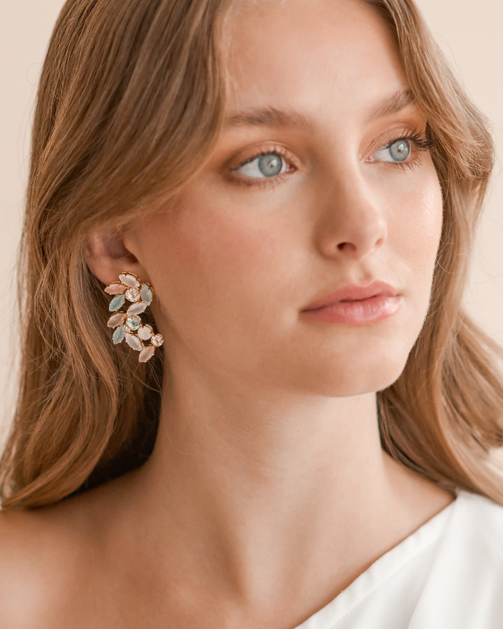 Pastel Color Earrings