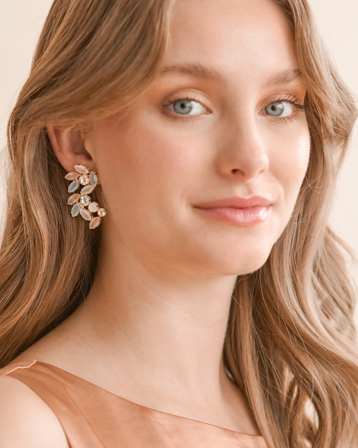 Pastel Color Earrings