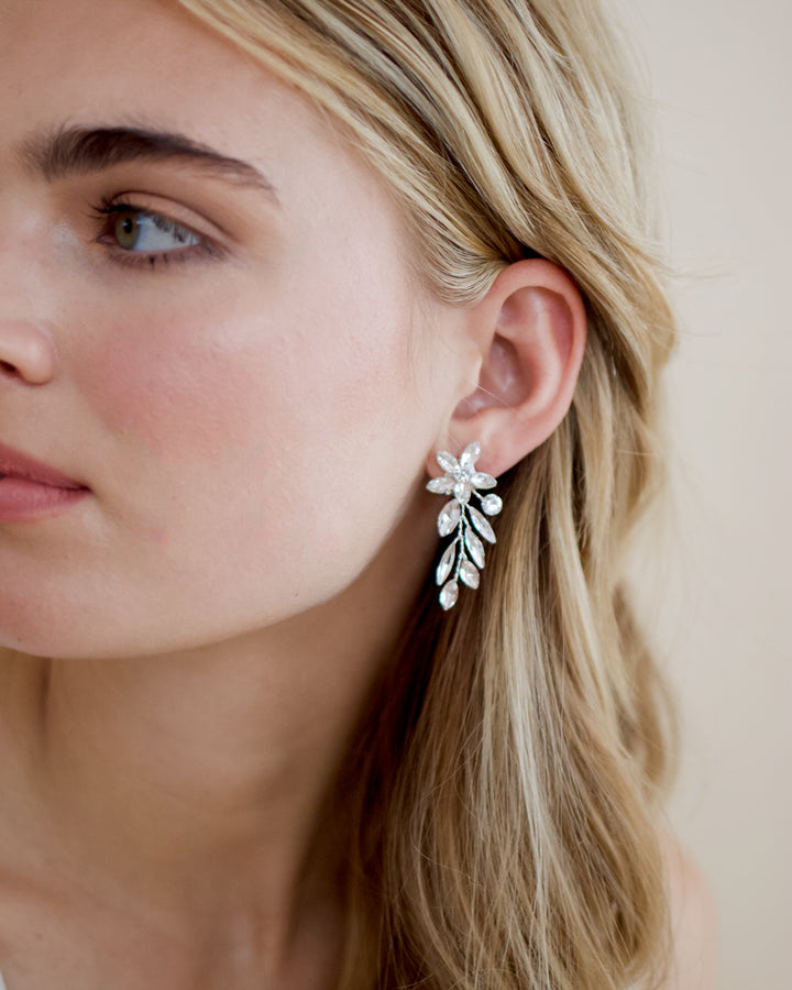 Dangle Crystal Earrings