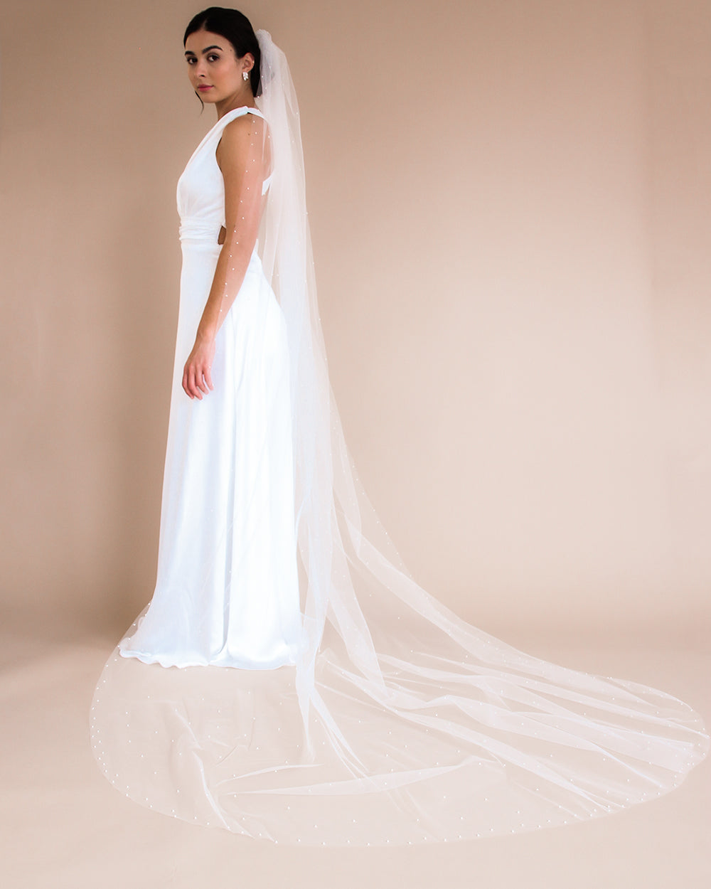 Wedding Veil Cathedral